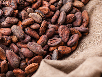 a number of cocoa beans on a sack