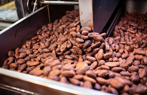 a large quantity of cocoa beans in a roasting machine